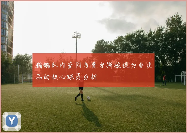 鹈鹕队内奎因与费尔斯被视为非卖品的核心球员分析