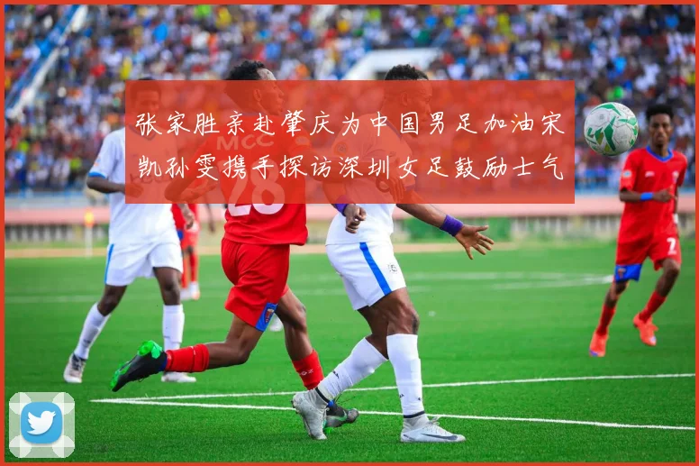 张家胜亲赴肇庆为中国男足加油宋凯孙雯携手探访深圳女足鼓励士气