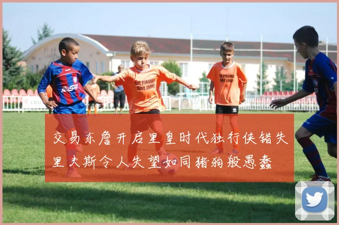 交易东詹开启里皇时代独行侠错失里夫斯令人失望如同猪狗般愚蠢