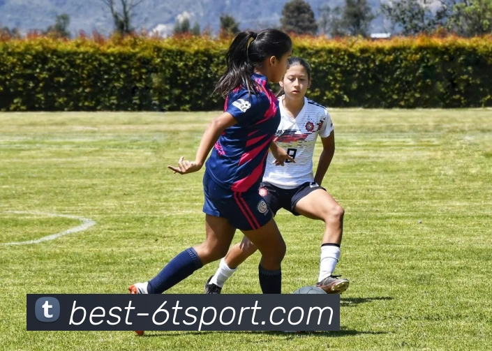 6T体育APP 封面图